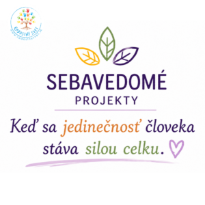 SEBAVEDOMÉ PROJEKTY – ako budovať zdravé a funkčné komunity